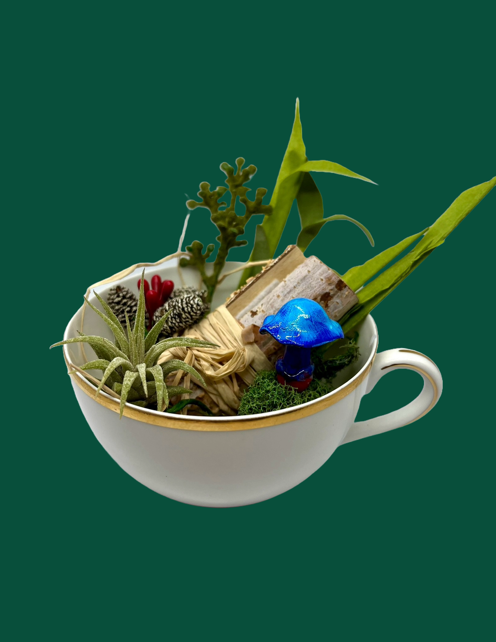 Air Terrarium 010