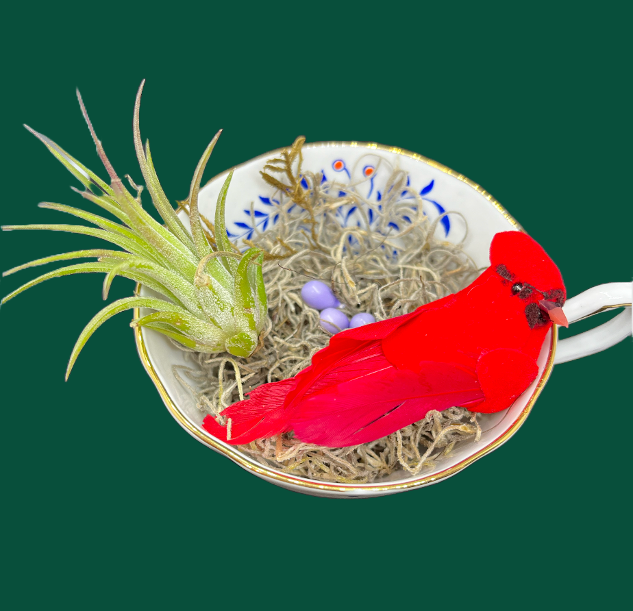 AT_002 Top.png