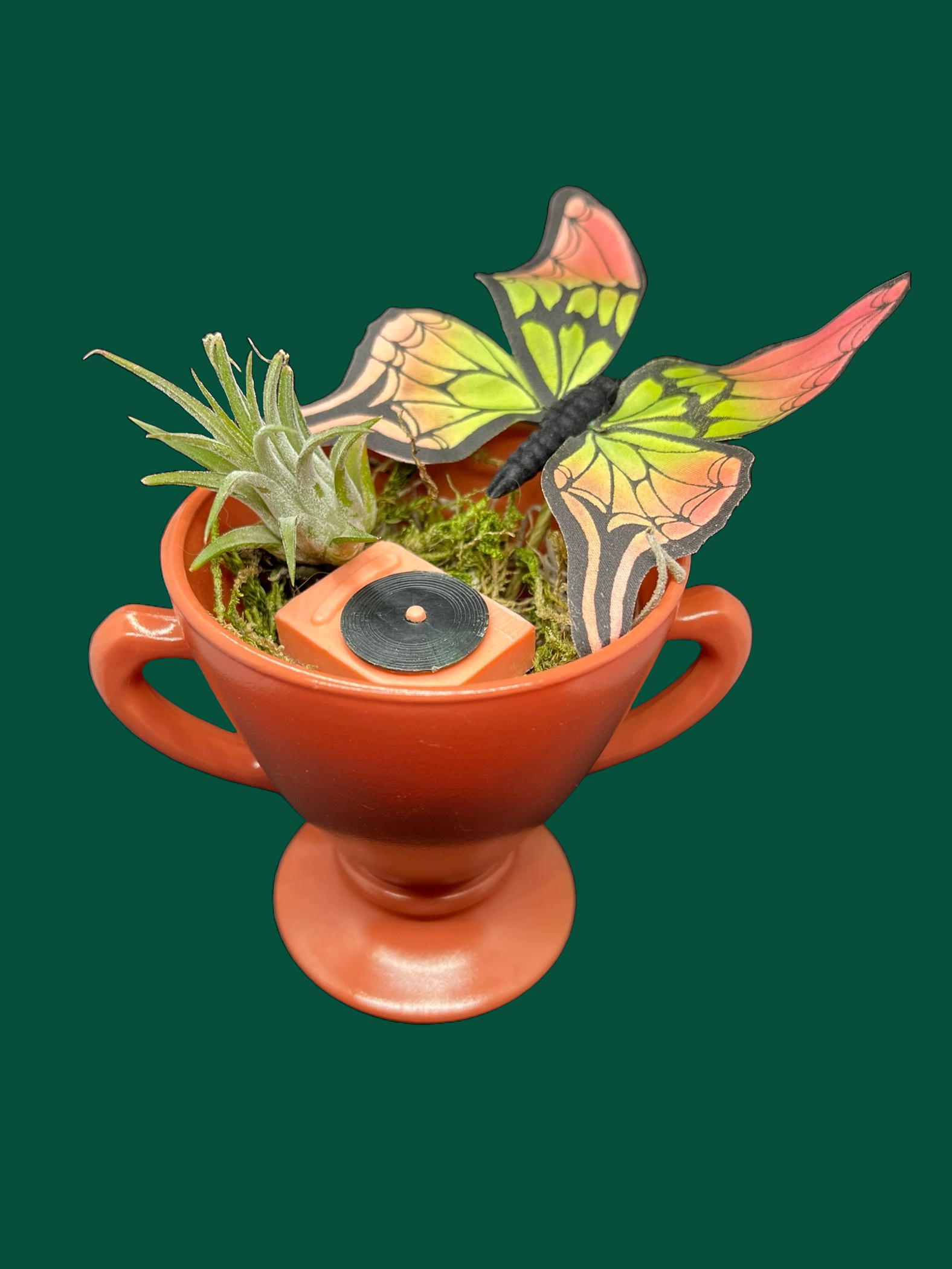 Air Terrarium 035