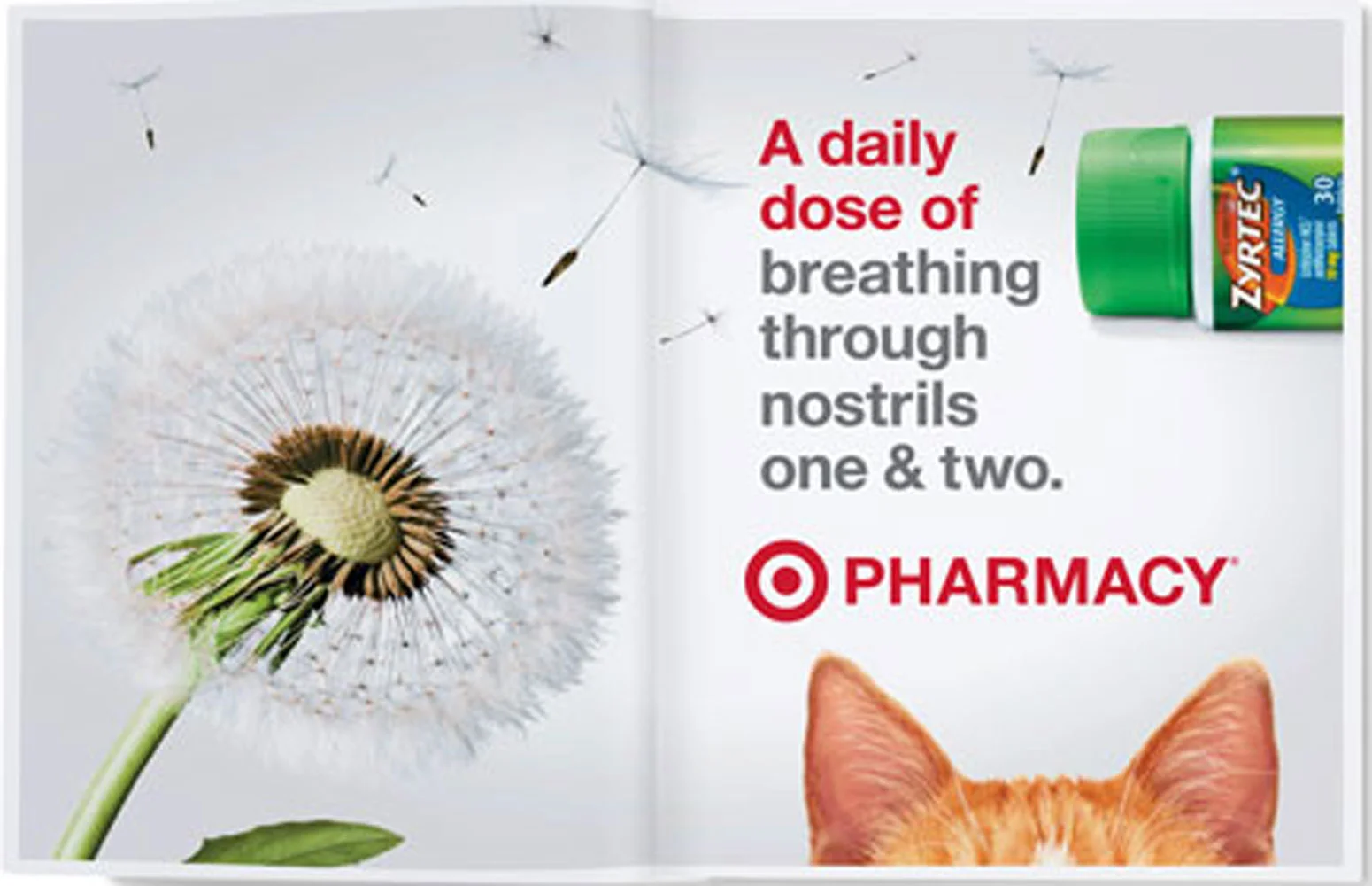 allergy_spreadweb.jpg