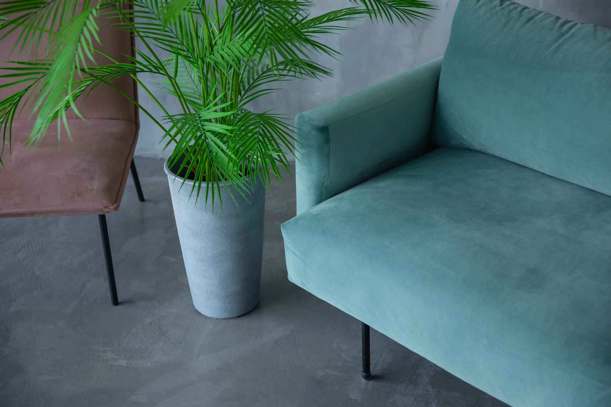 Contemporary teal upholstery lounge chair with clean architectural lines and black metal legs, paired with greenery and complementary furnishings in a modern interior.