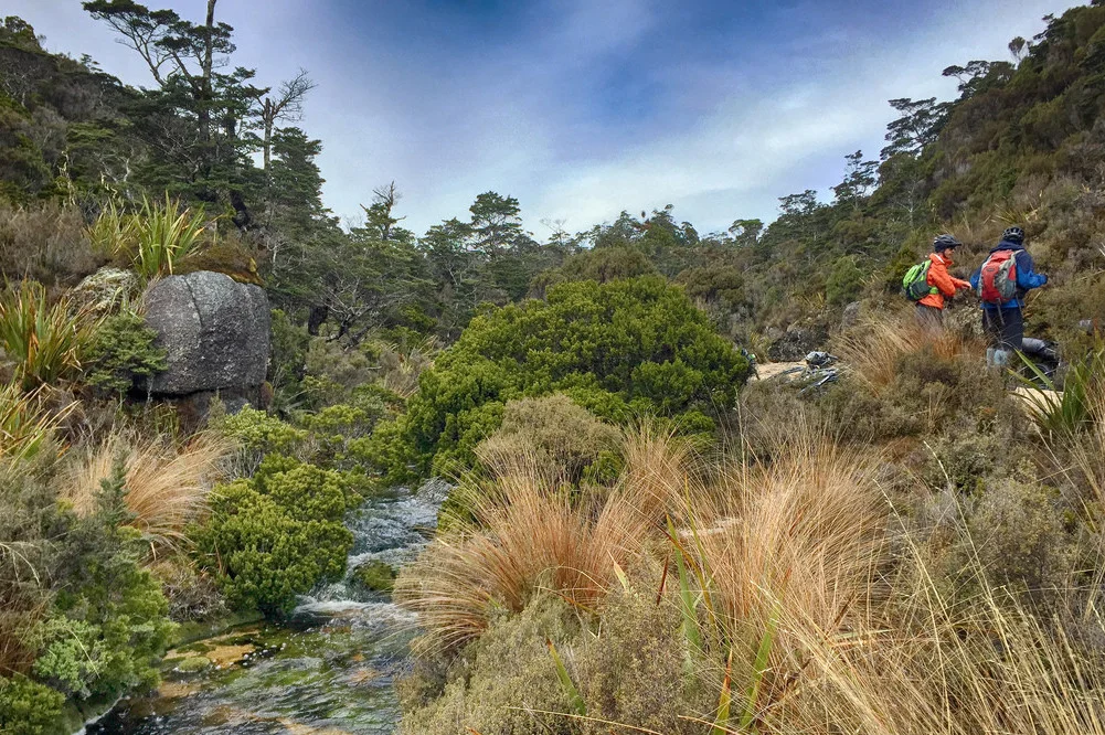 Tramping Or Biking the Heaphy in New Zealand