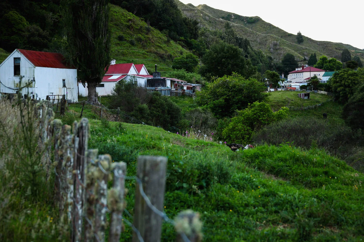 The Forgotten World Highway in New Zealand