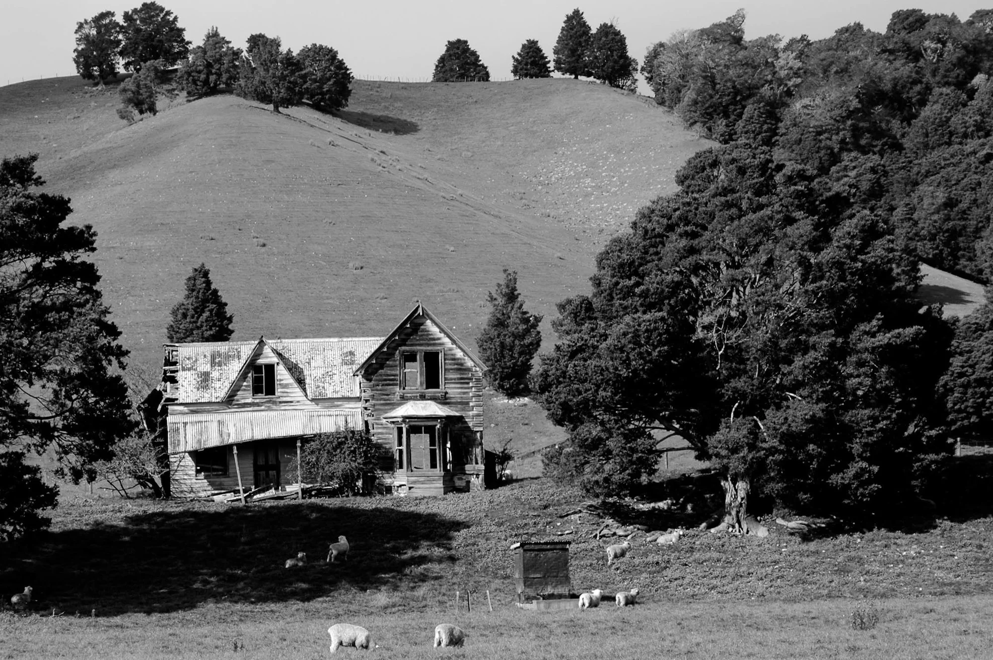Visiting Abandoned Houses, New Zealand