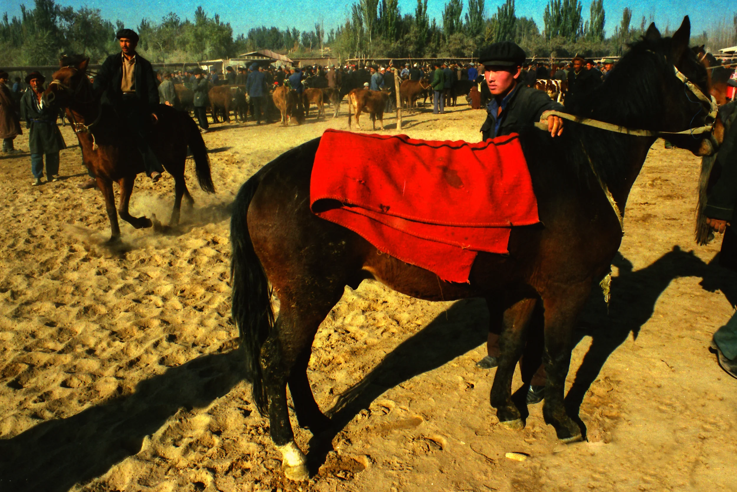 Xinjiang, China
