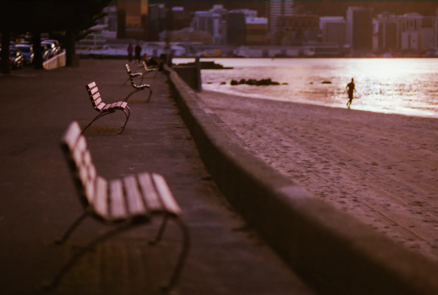 The Wellington Coastline, New Zealand