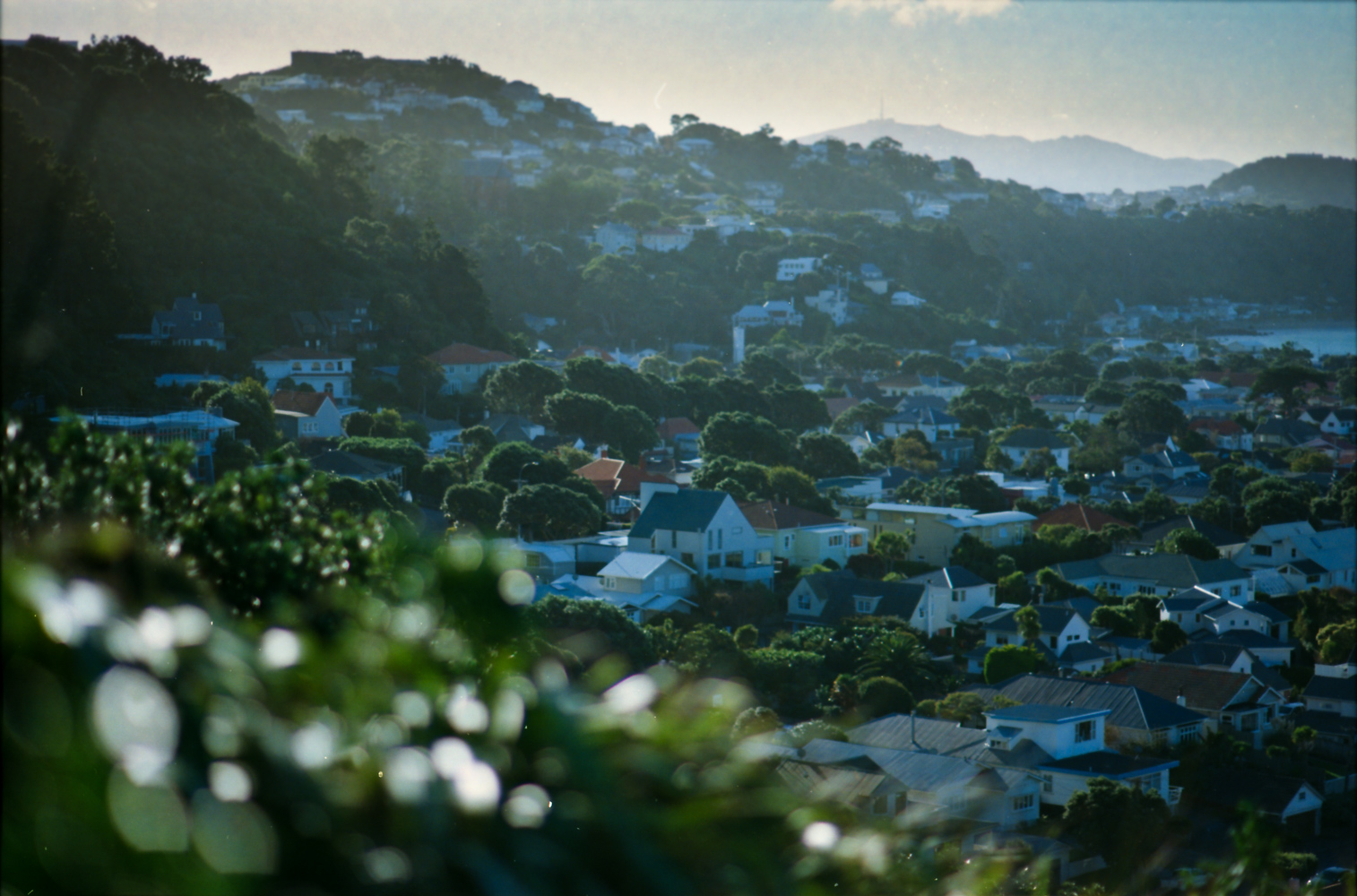 Wellington, New Zealand