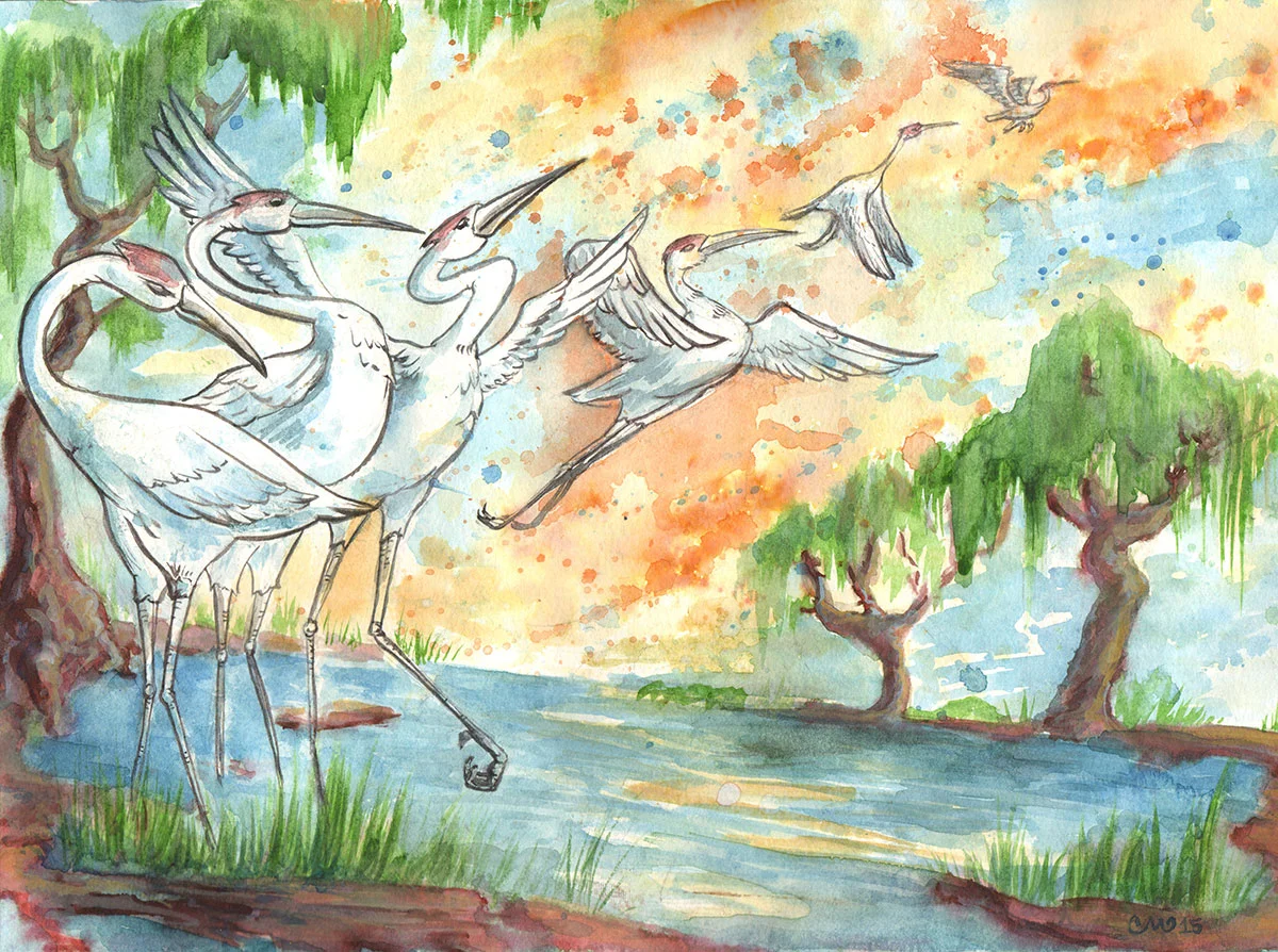 Cranes.jpg