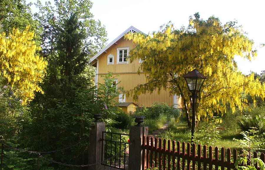 yellow.jpg