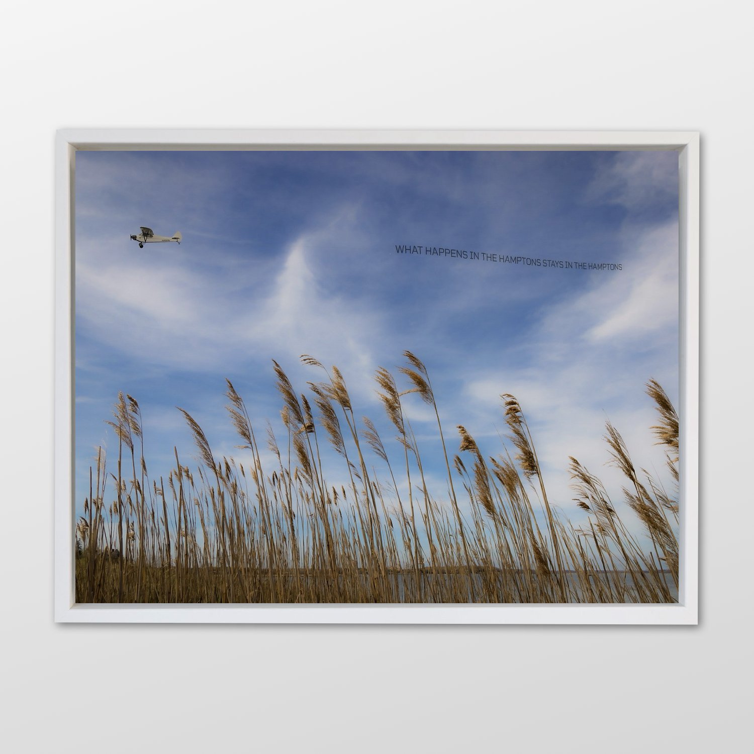 Debranne Cingari.034.jpeg