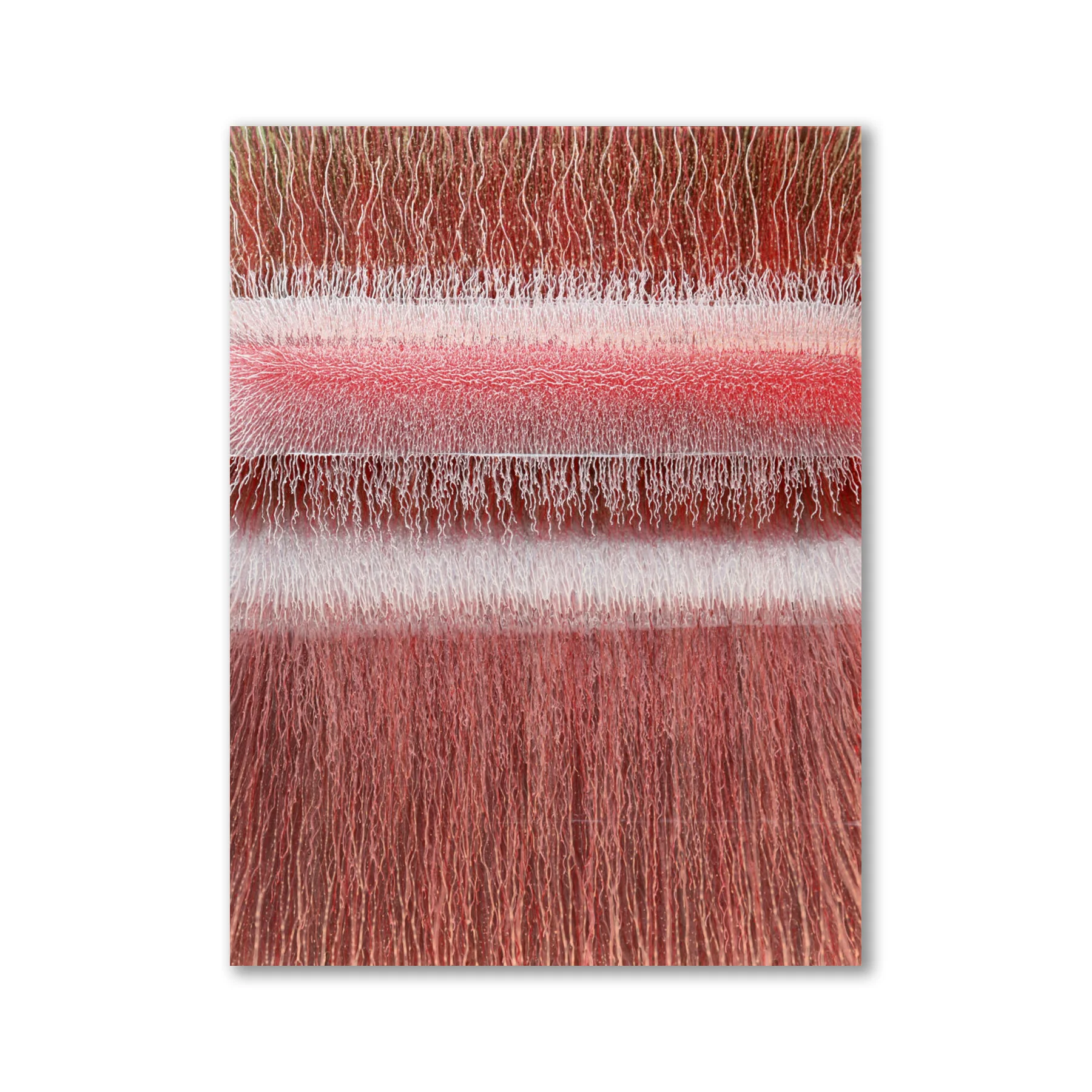 No2Red-v.jpg