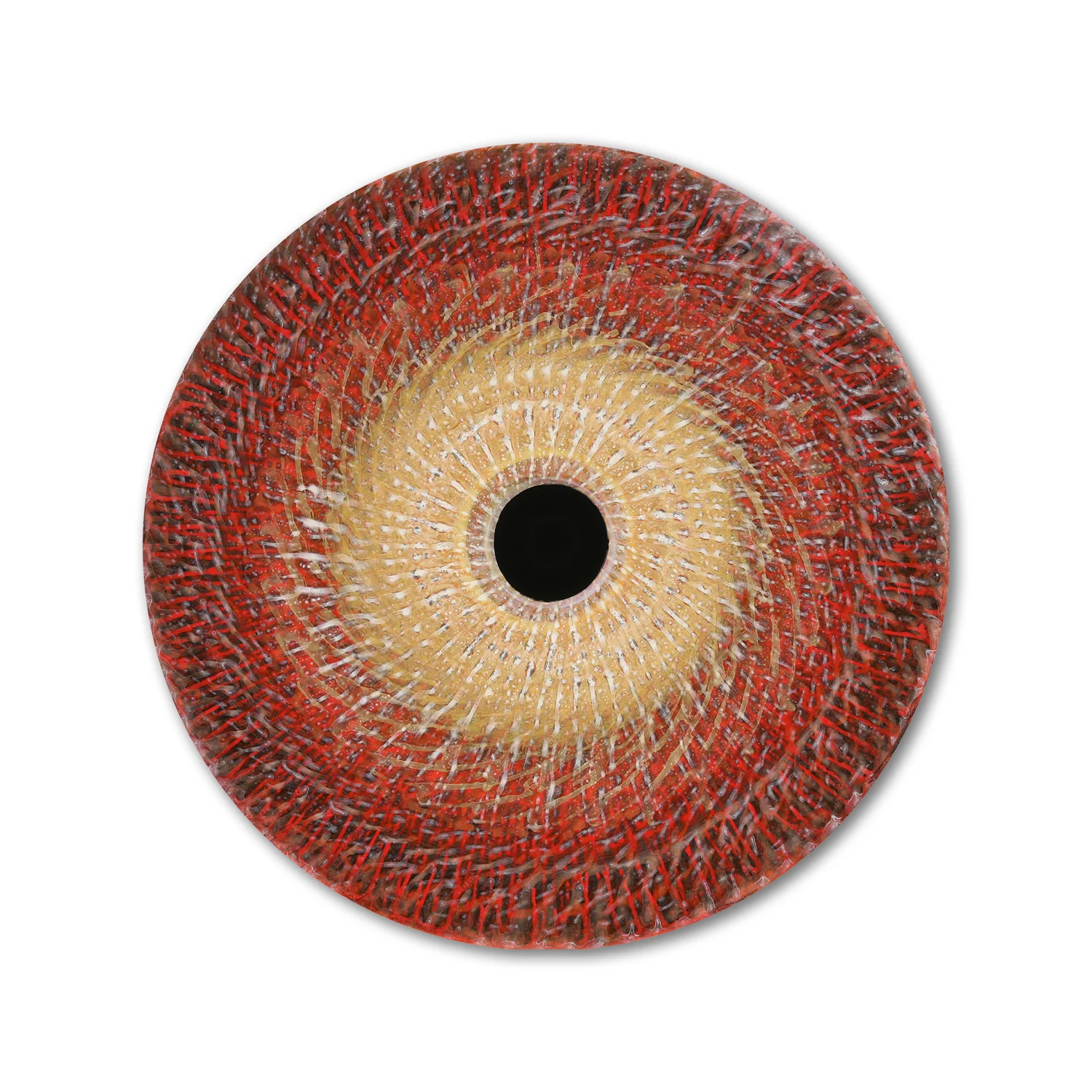 Vorticity 5 | # 2/20