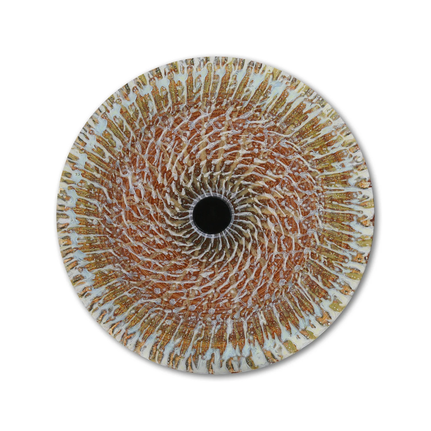 Vorticity 9 | # 2/20
