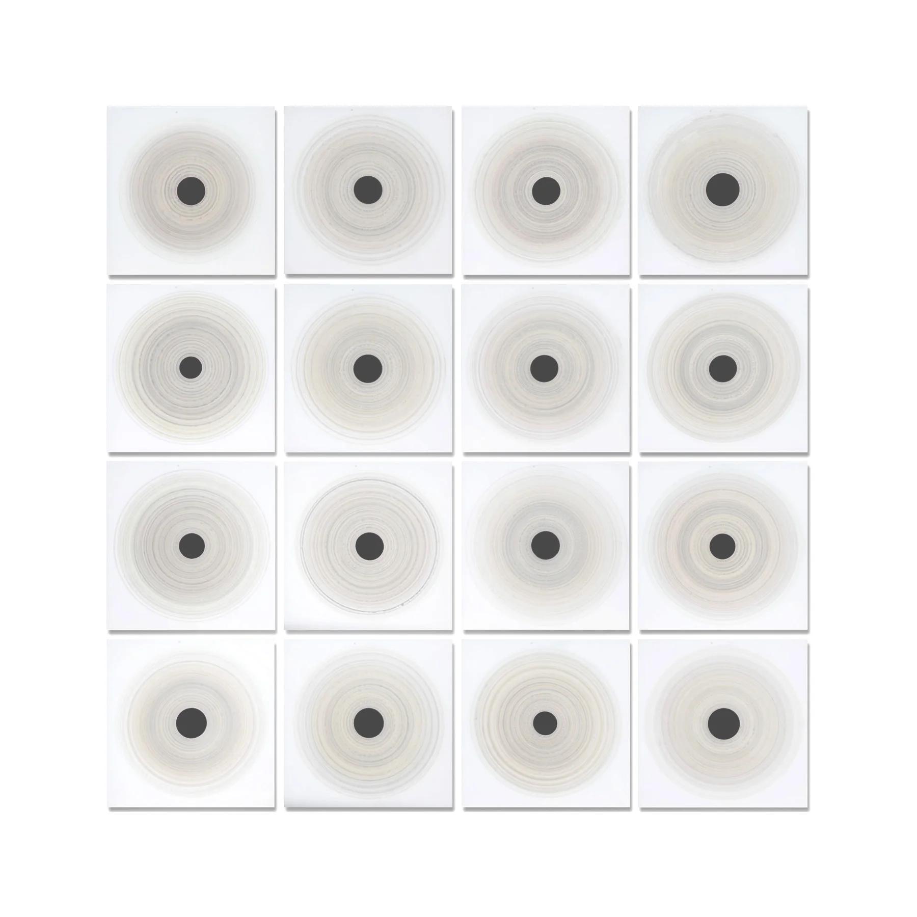 White Rings  |  96 x 96"