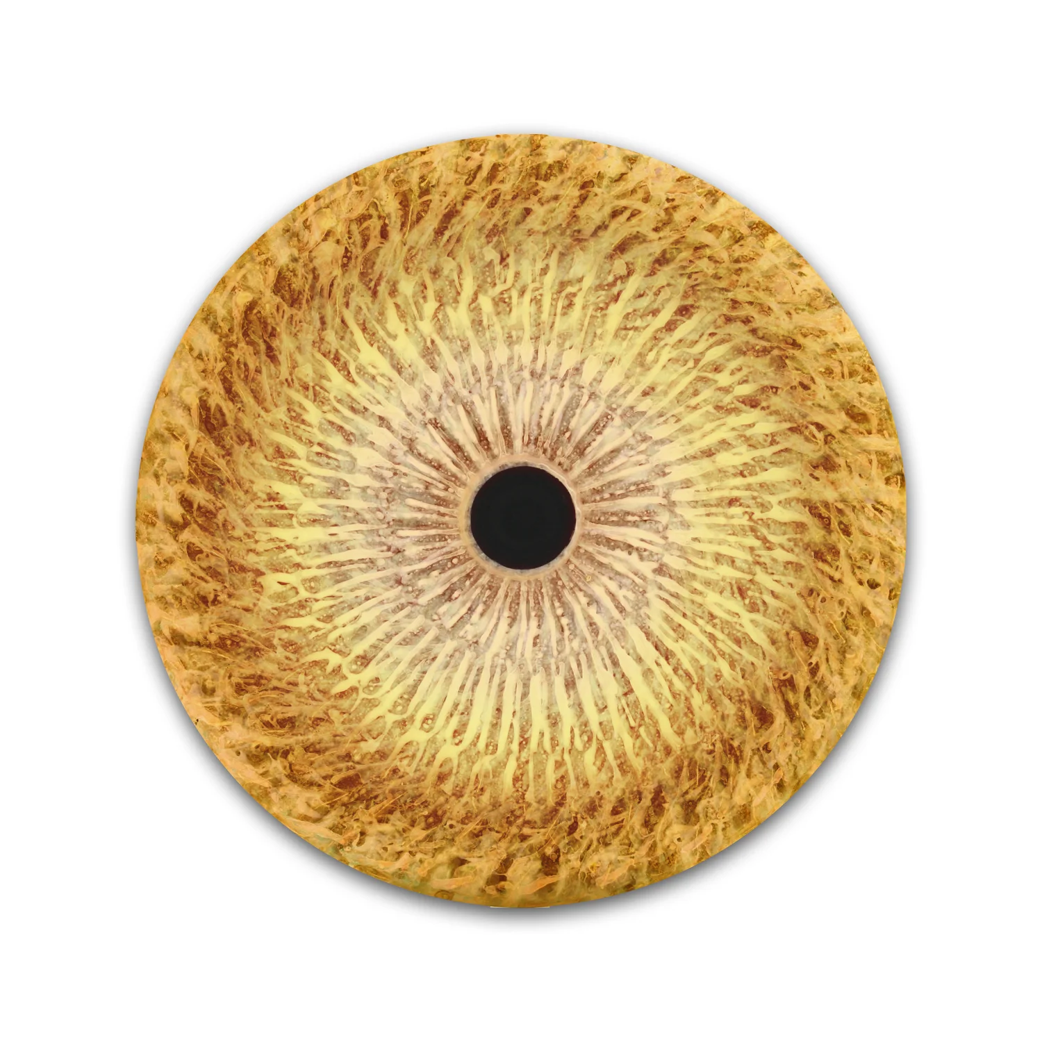 Extra Vorticity.001.jpeg