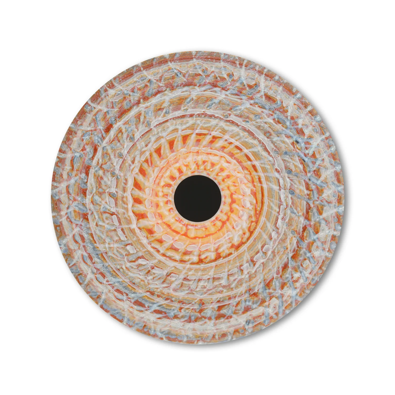 Vorticity 45 | # 1/20
