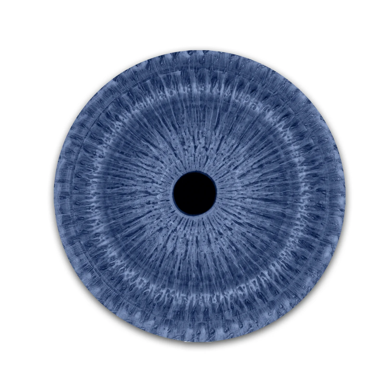 Vorticity Blue 1 | # 2/20
