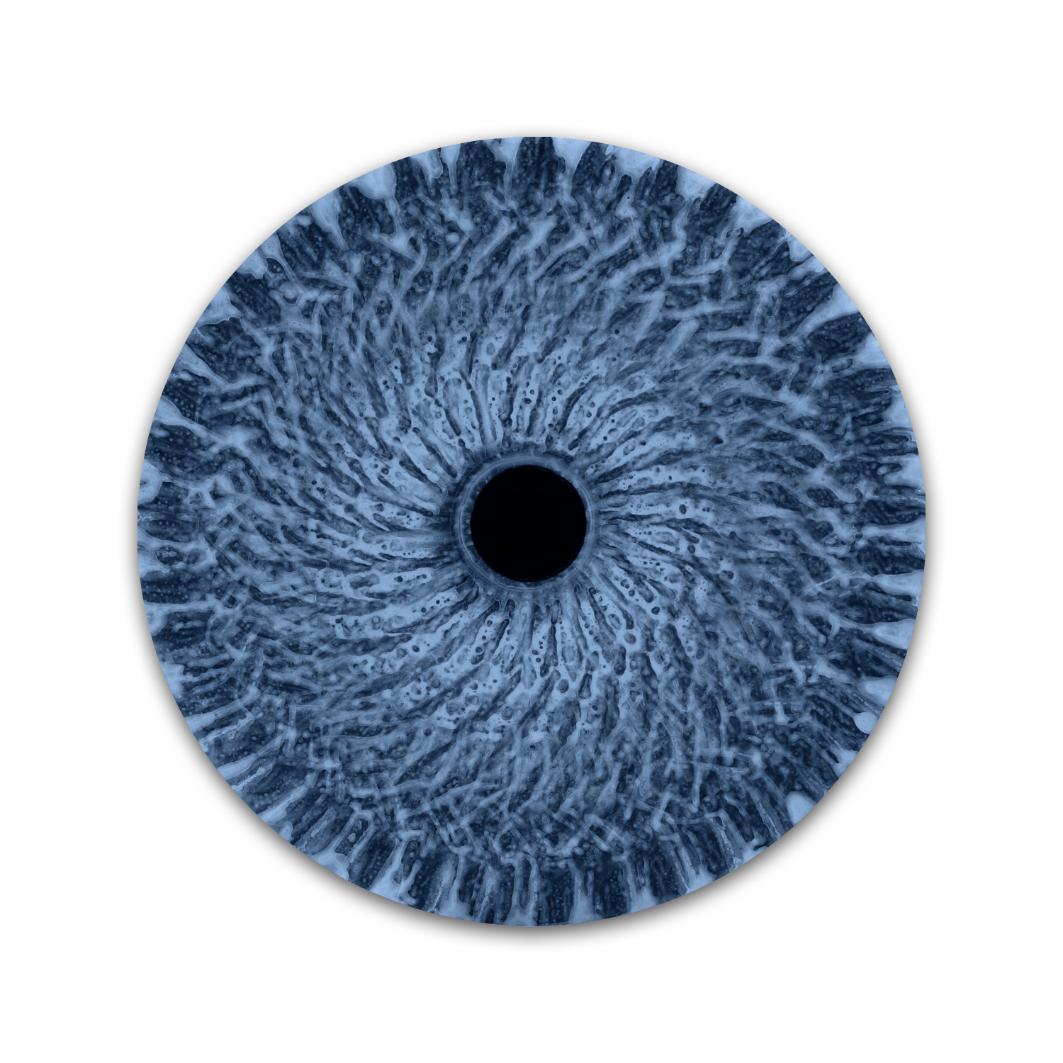 vorticity blue.002.jpeg