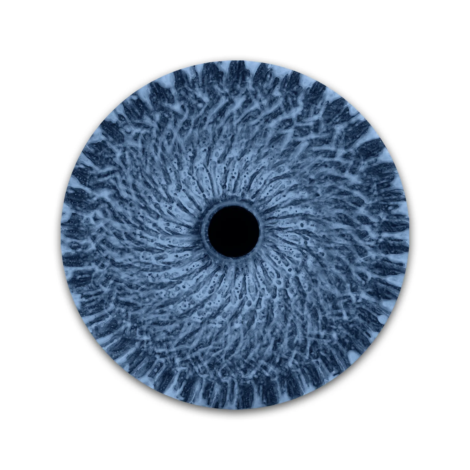 Vorticity Blue 2 | # 2/20