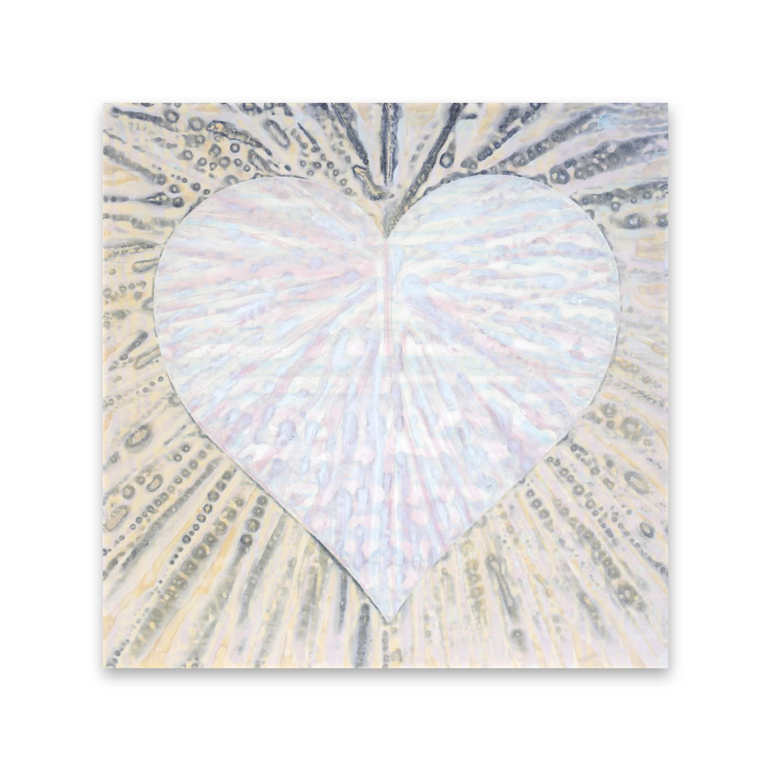 American Heart #26
