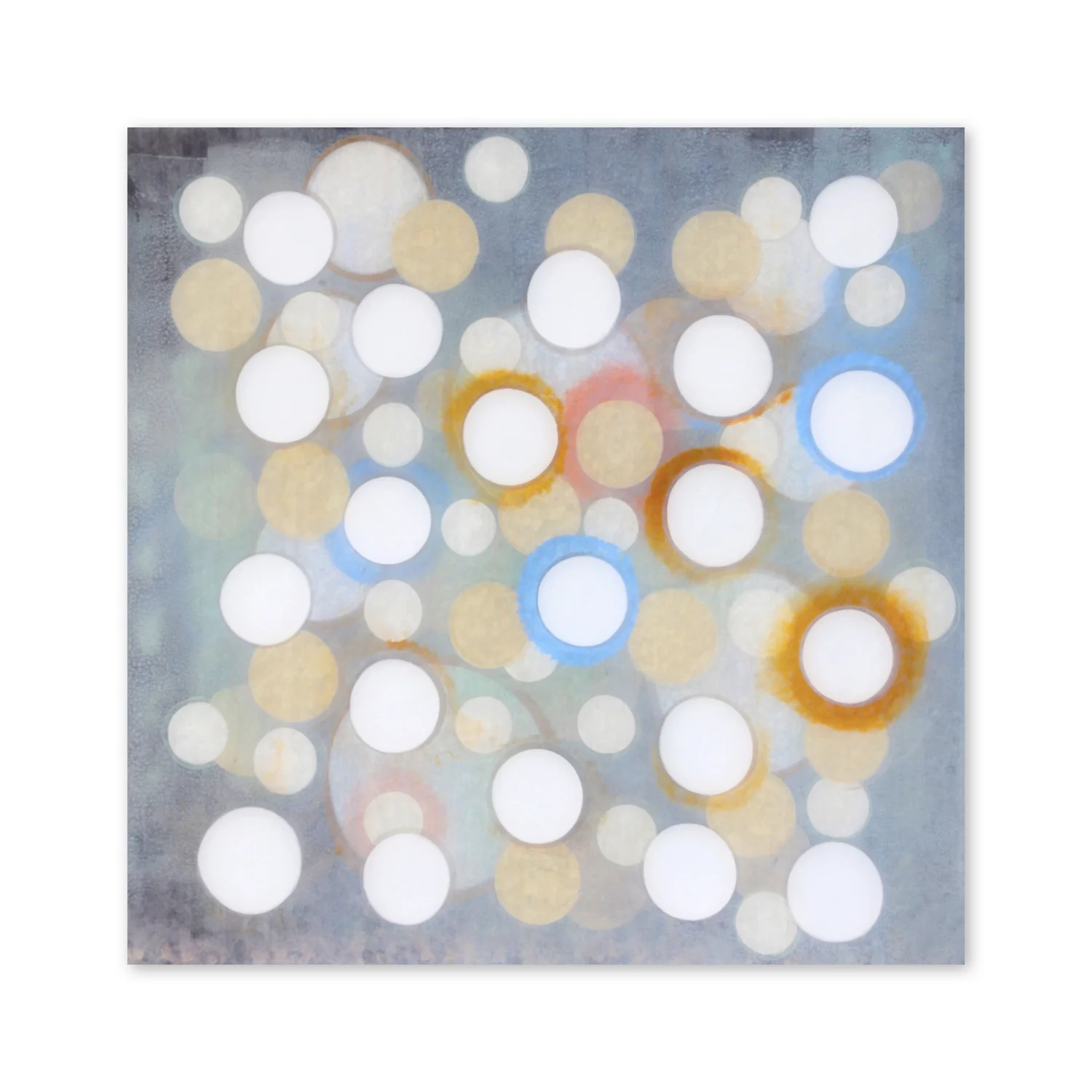 Senses I  | 48 x 48"