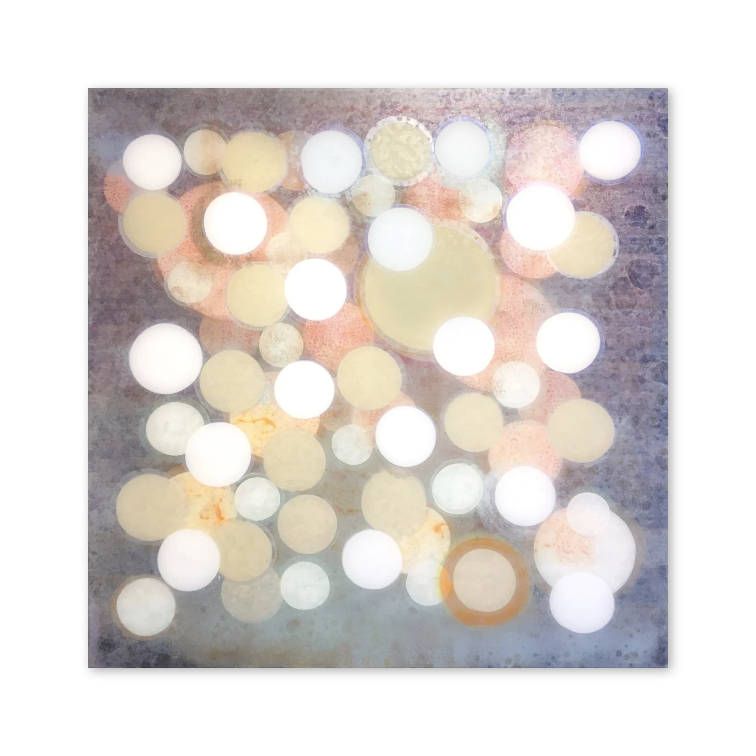 Senses II  | 48 x 48"