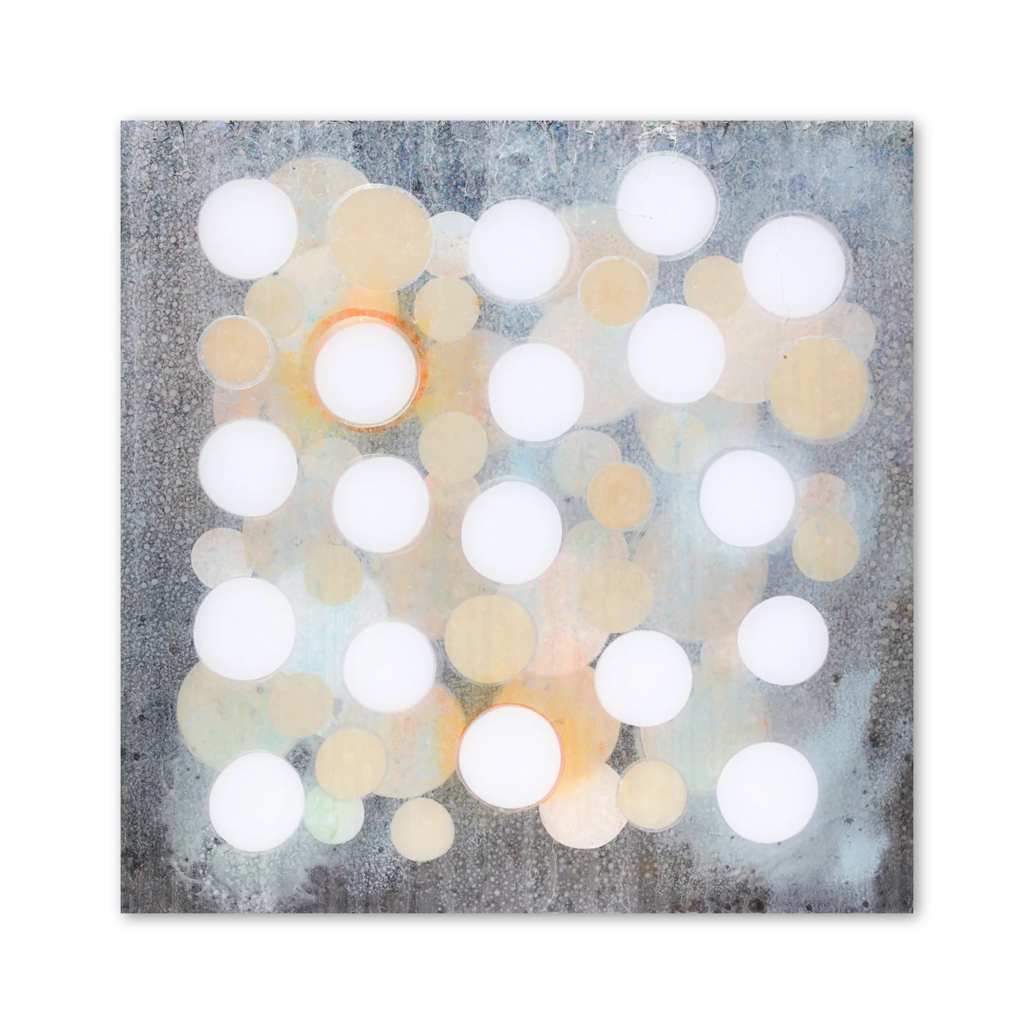 Senses VIII  | 40 x 40