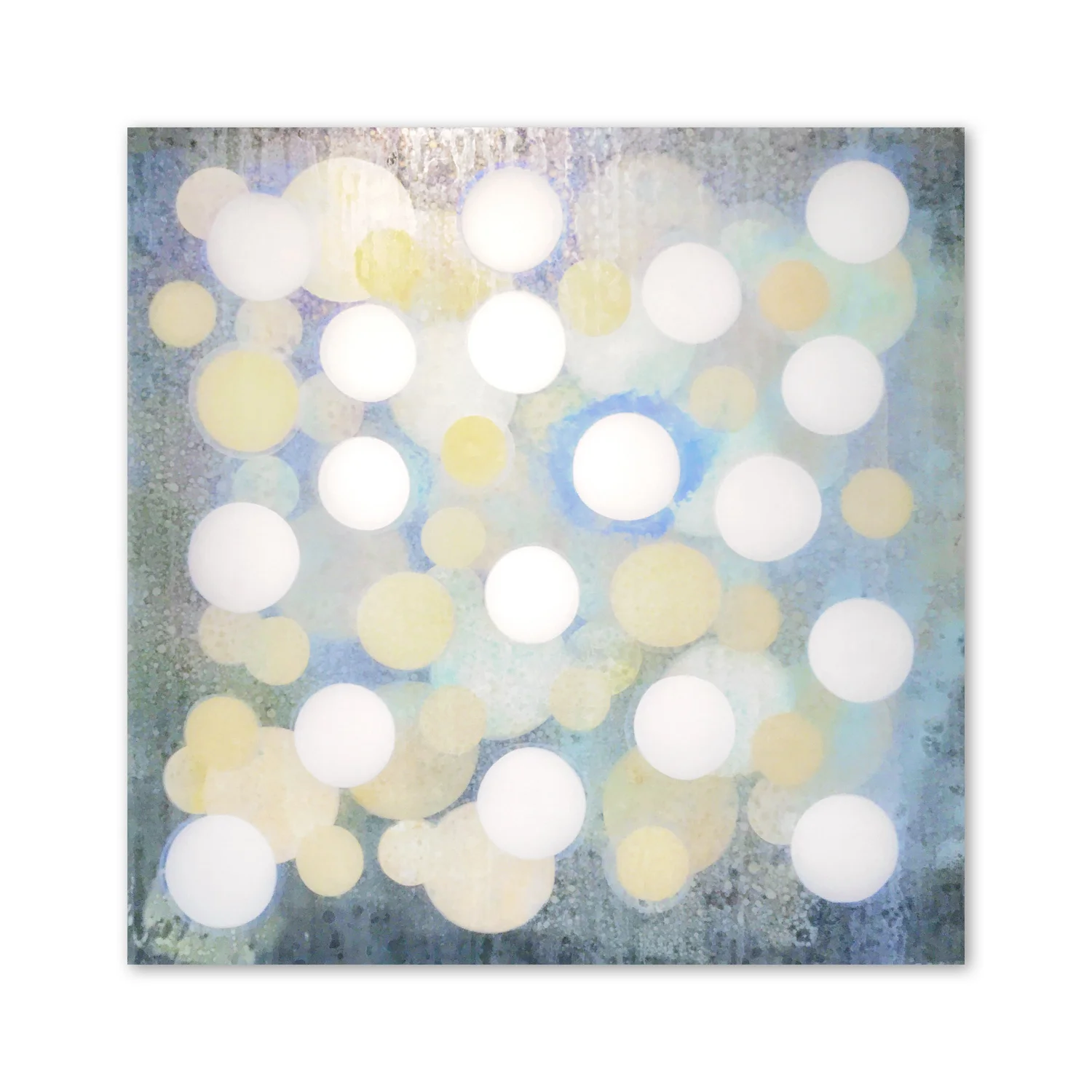 Senses IX  | 40 x 40"