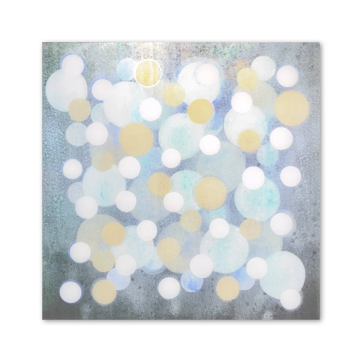Senses XI  | 40 x 40"