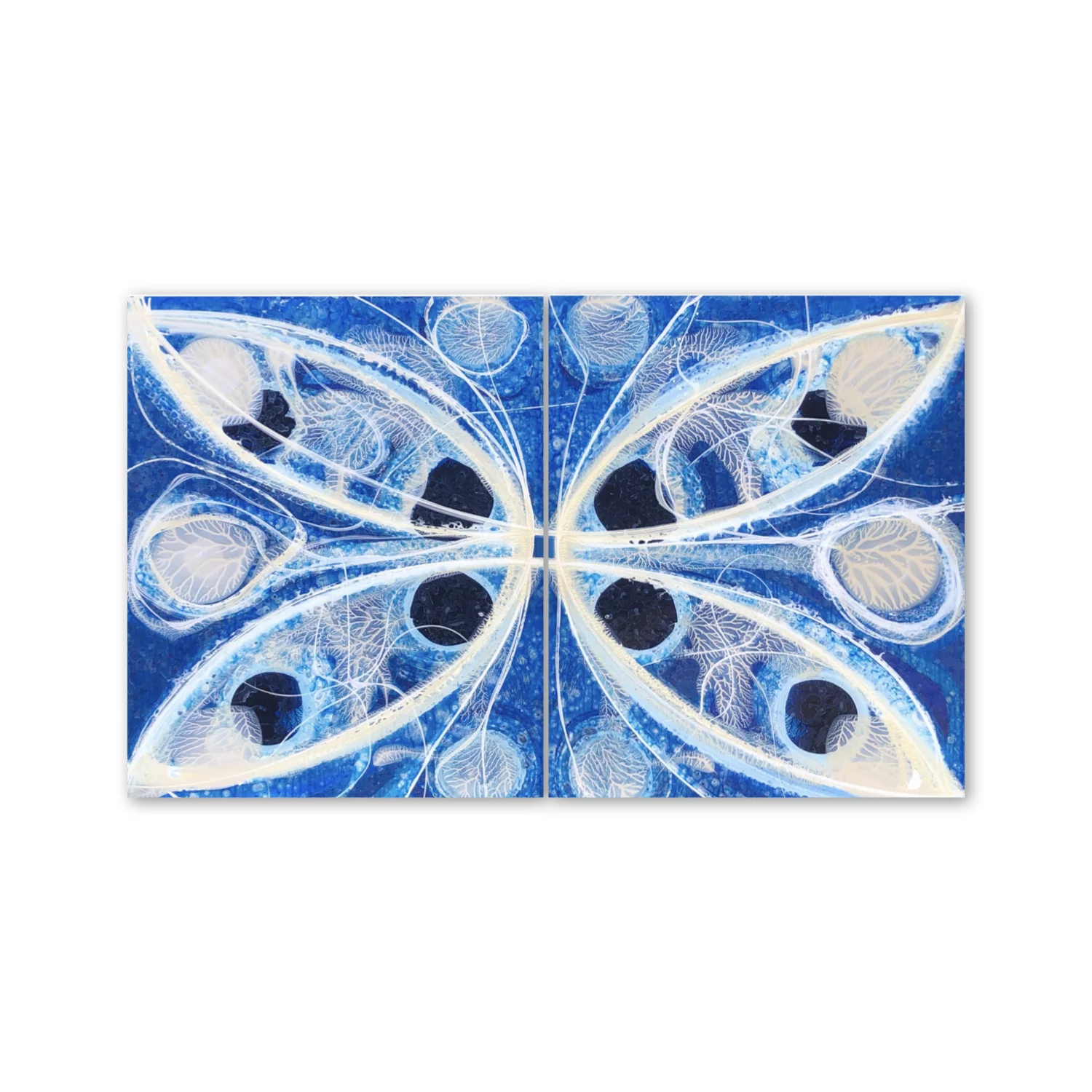 Morphinae II  |  60 x 96"