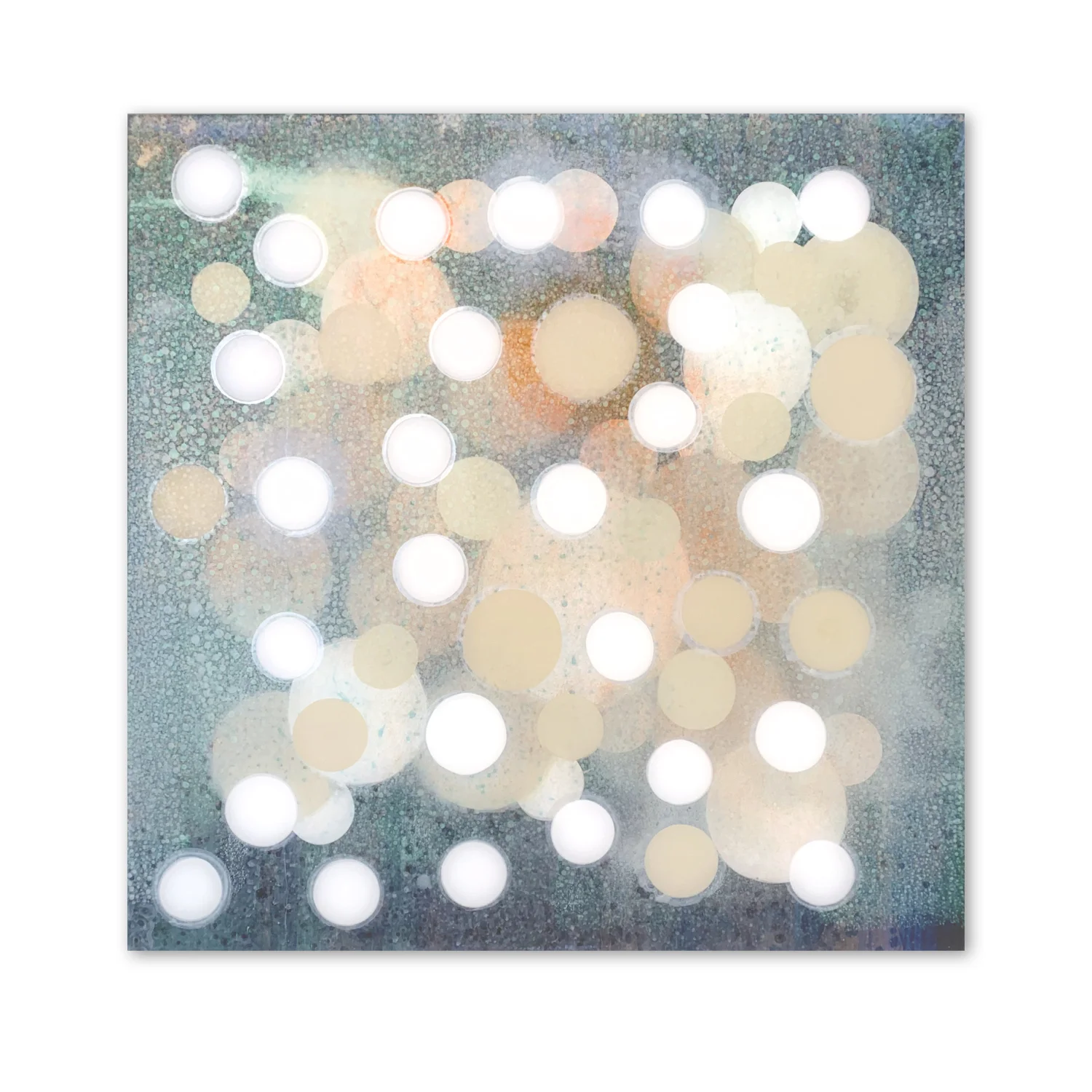 Senses VII  | 40 x 40