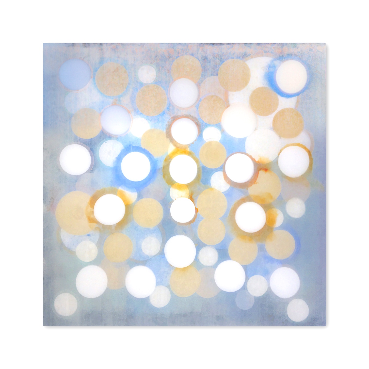 Senses III  | 48 x 48"