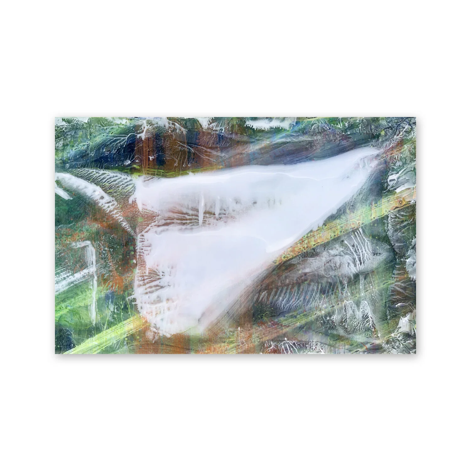 Balleine II | 64 x 42”