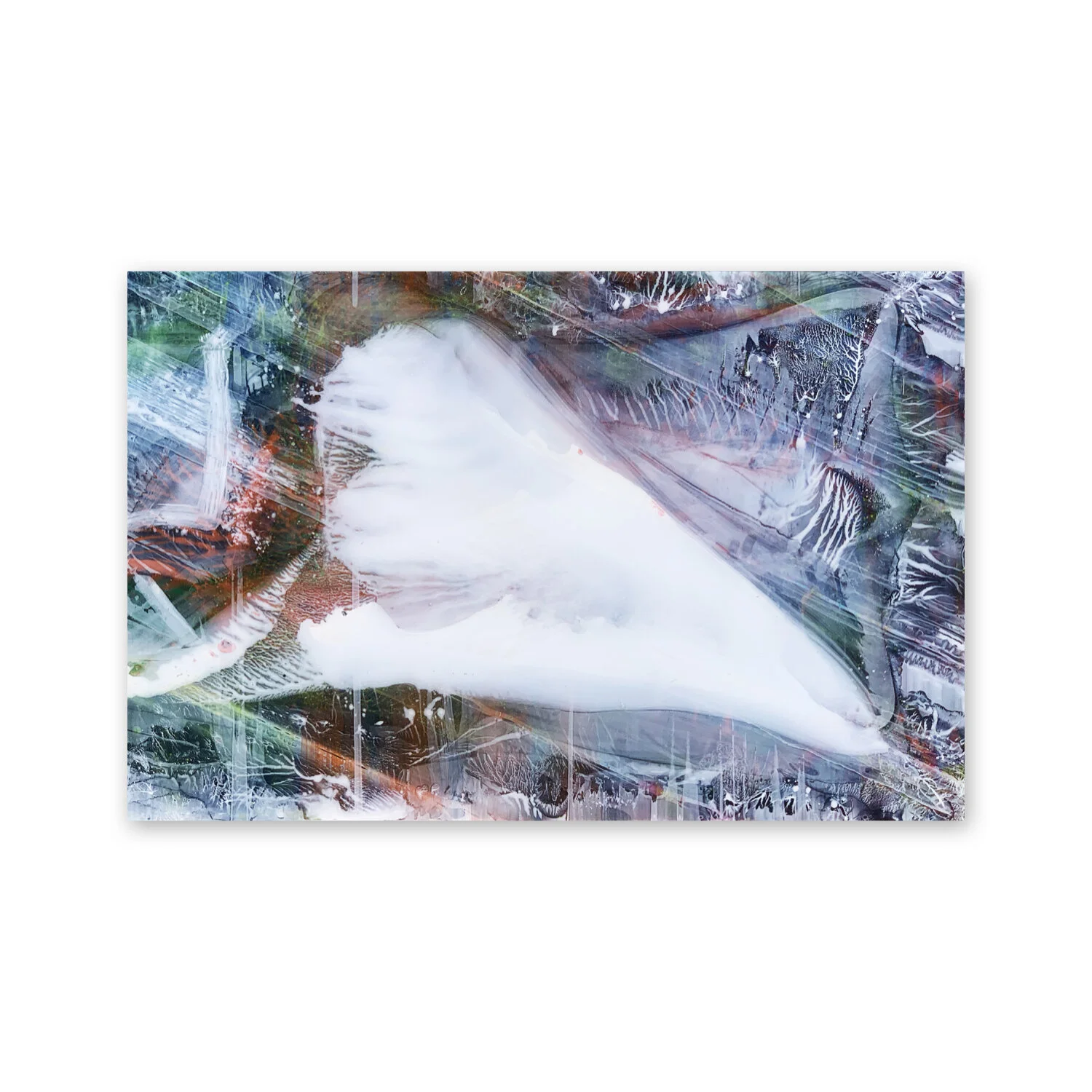 Balleine | 64 x 42”