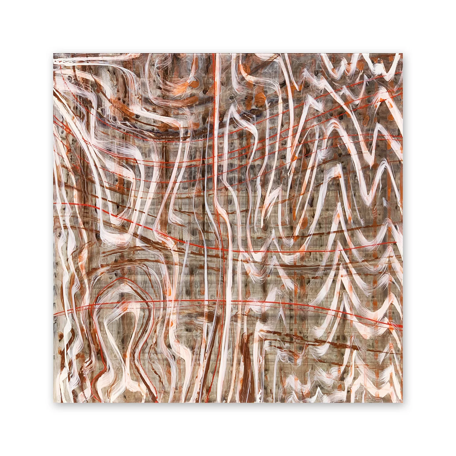 Thuja VI | 48 x 48”