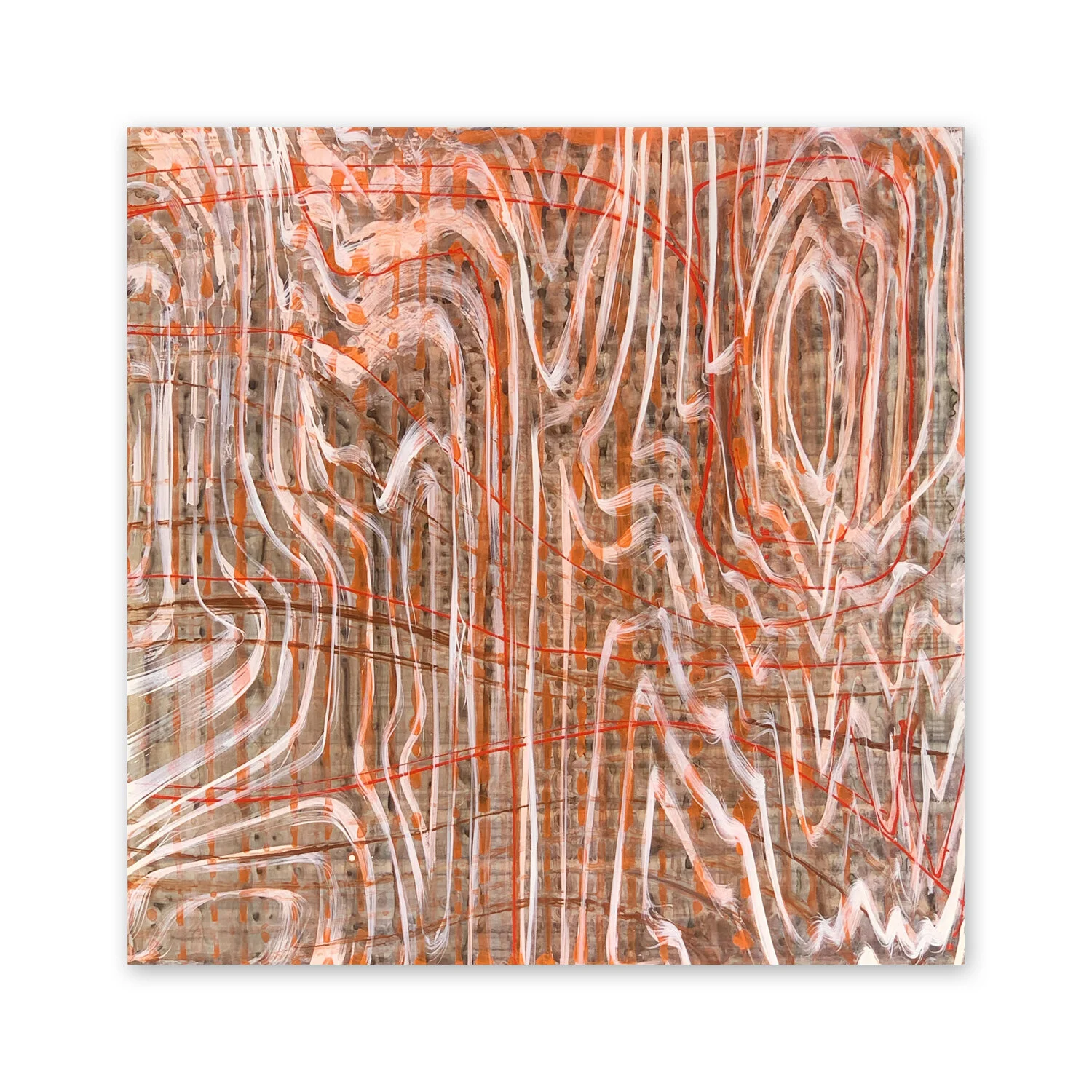 Thuja VII | 48 x 48”