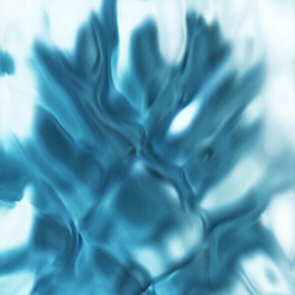 Vitreous.005.jpg