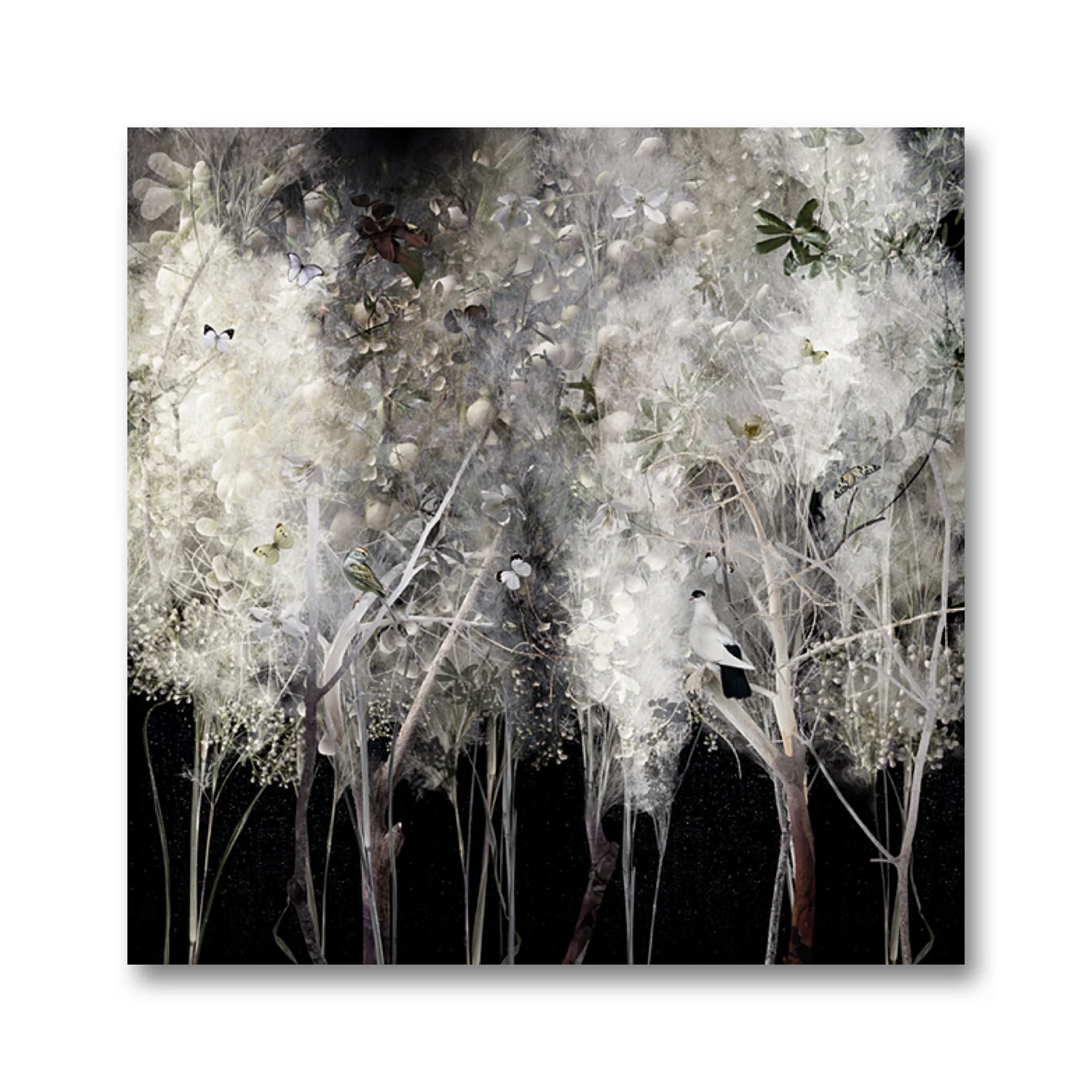 Illuminated I & II