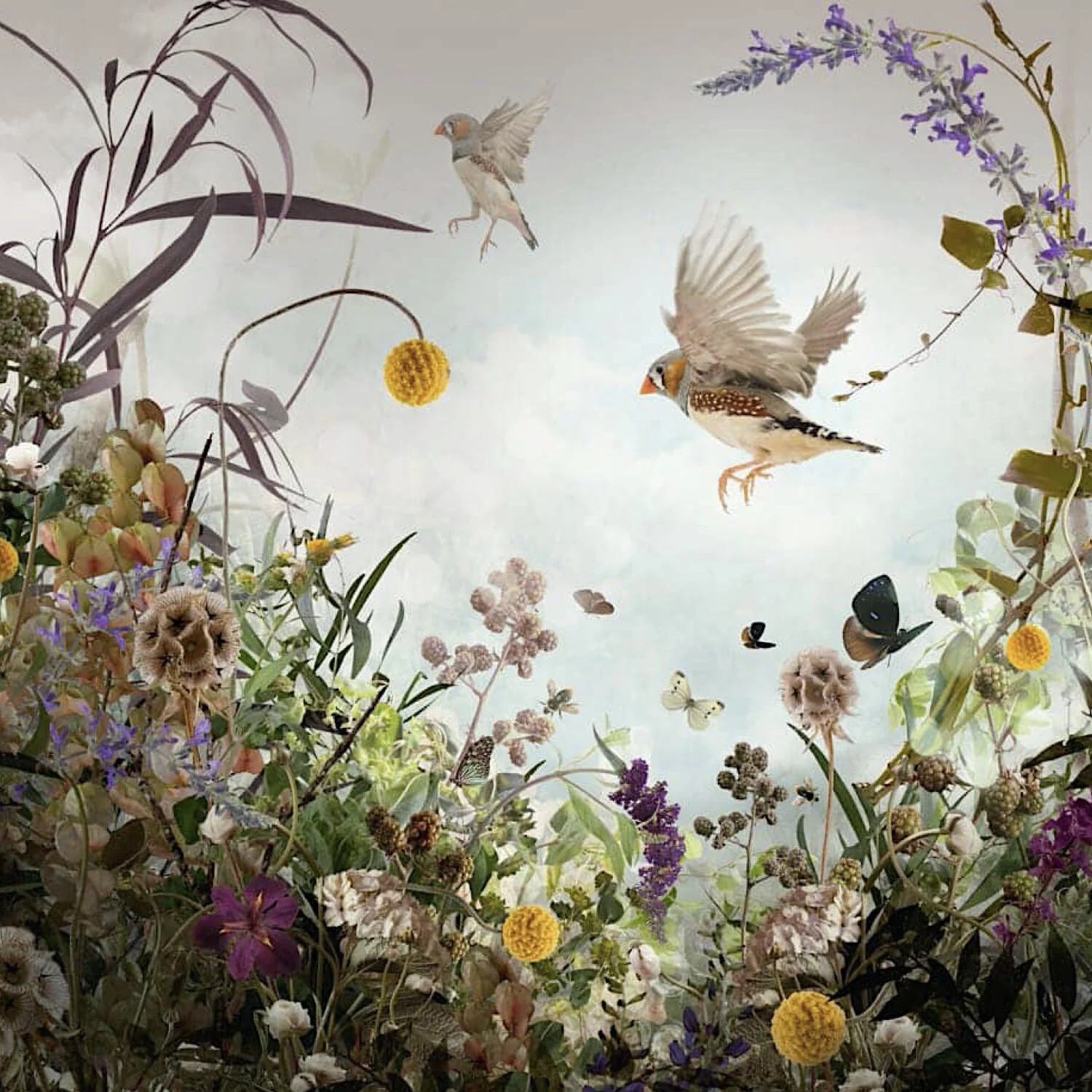 Lemay Web B.085.jpeg