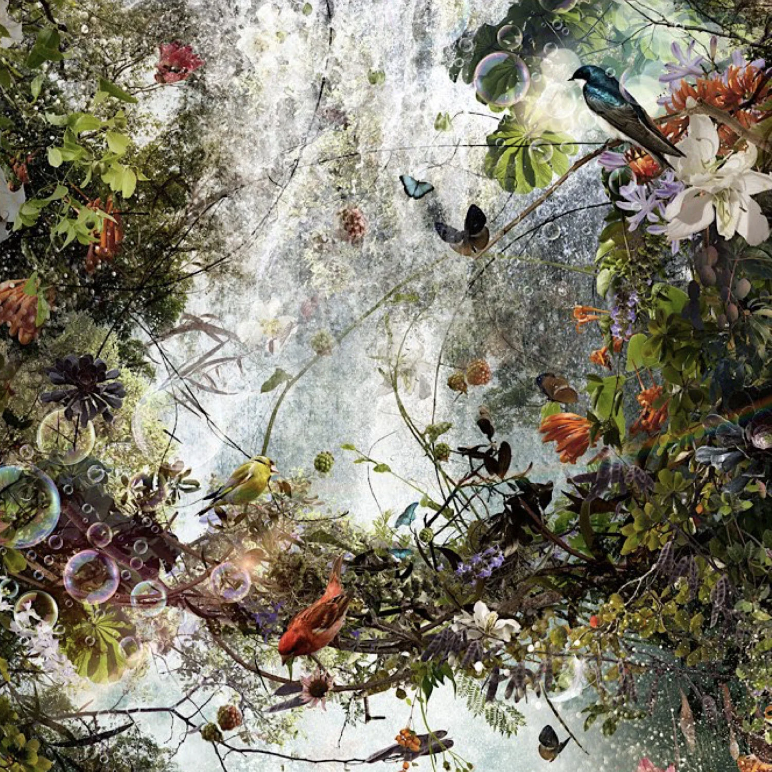 Lemay Web B.063.jpeg