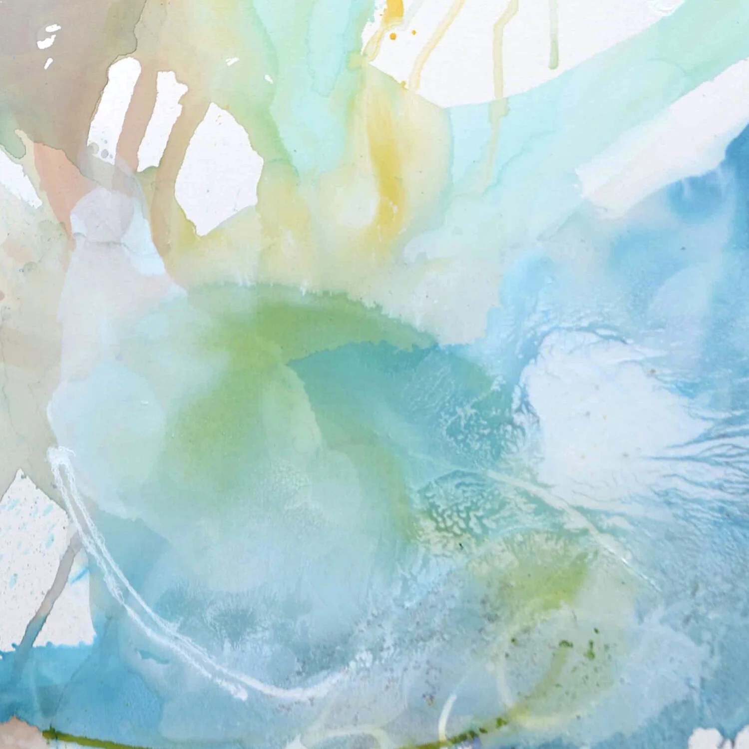 LIZ BARBER Web.053.jpeg