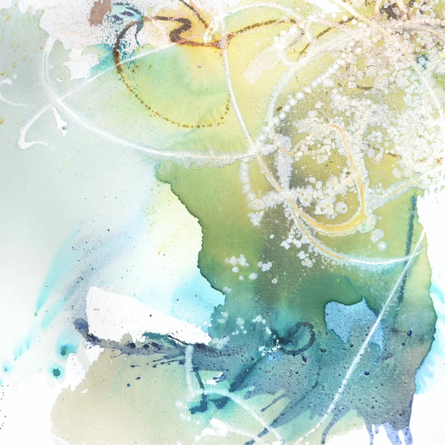 LIZ BARBER Web.069.jpeg