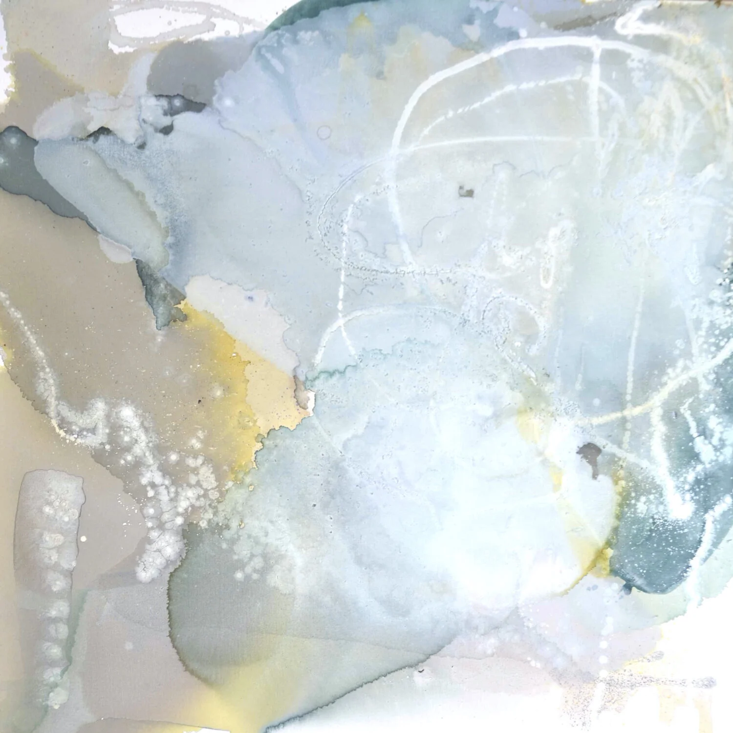 LIZ BARBER Web.092.jpeg