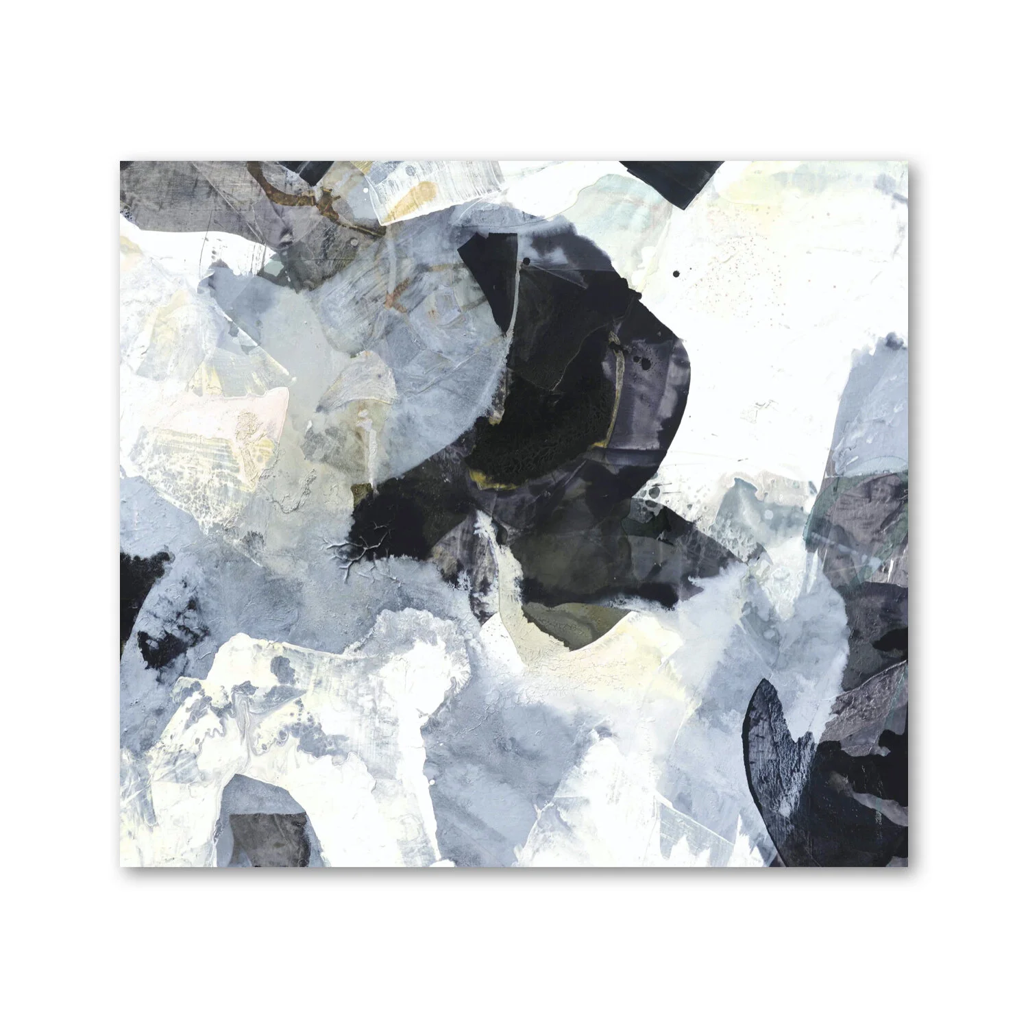 Bluster V  |  55 x 55"