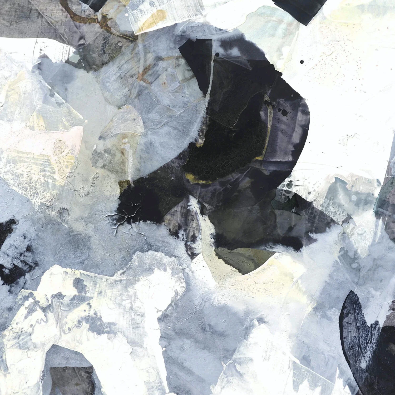 july BARBER.005.jpeg