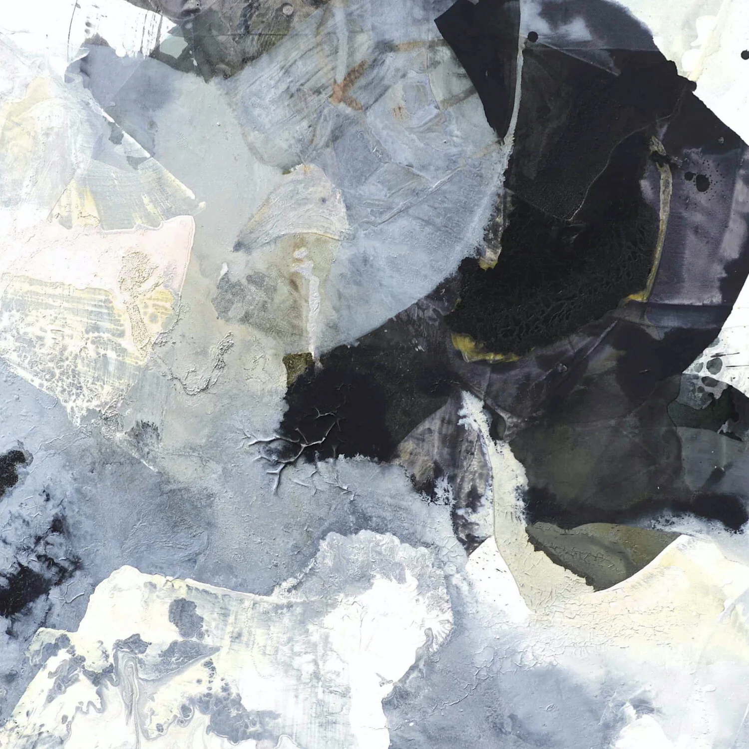 july BARBER.006.jpeg