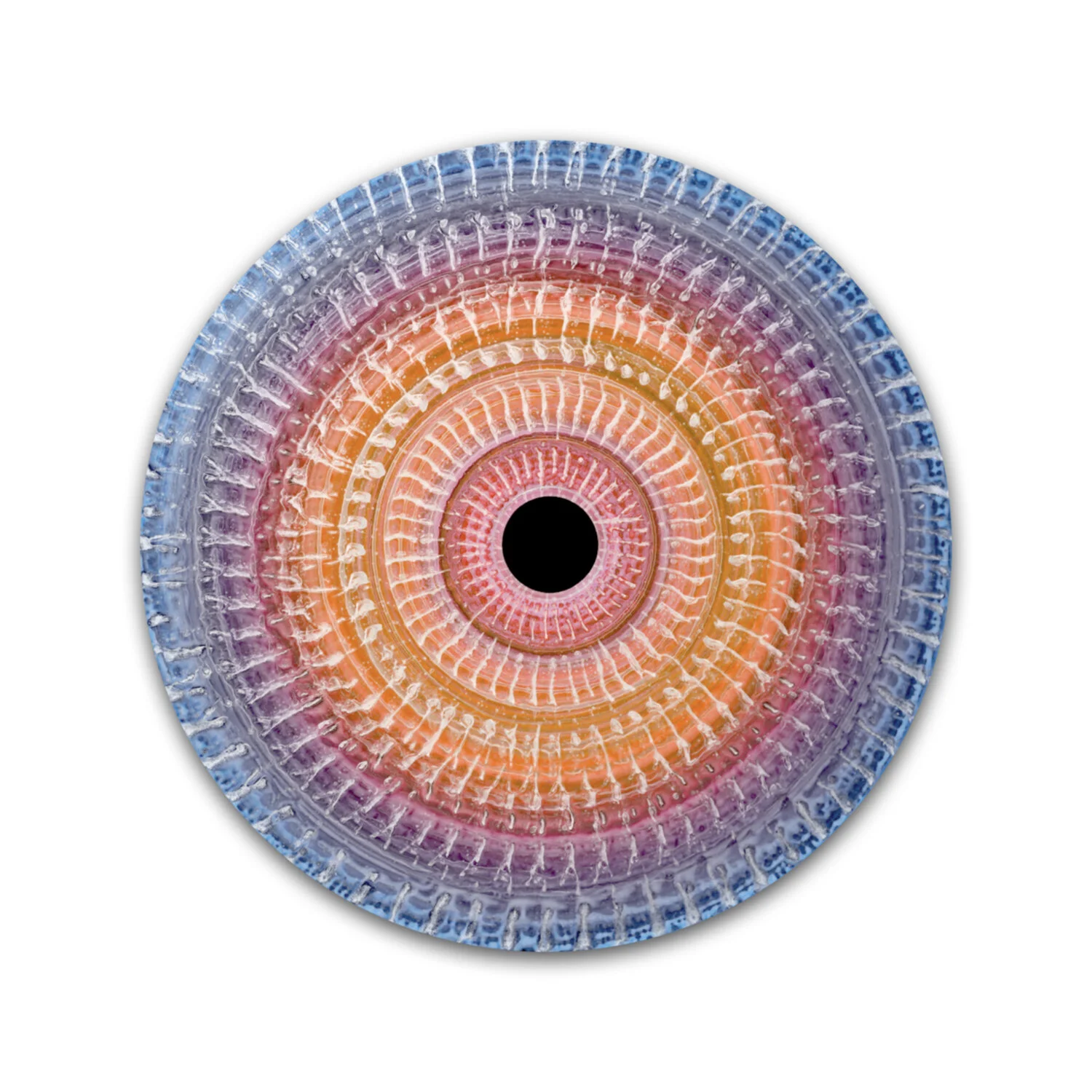 Vorticity 48 | # 2/20