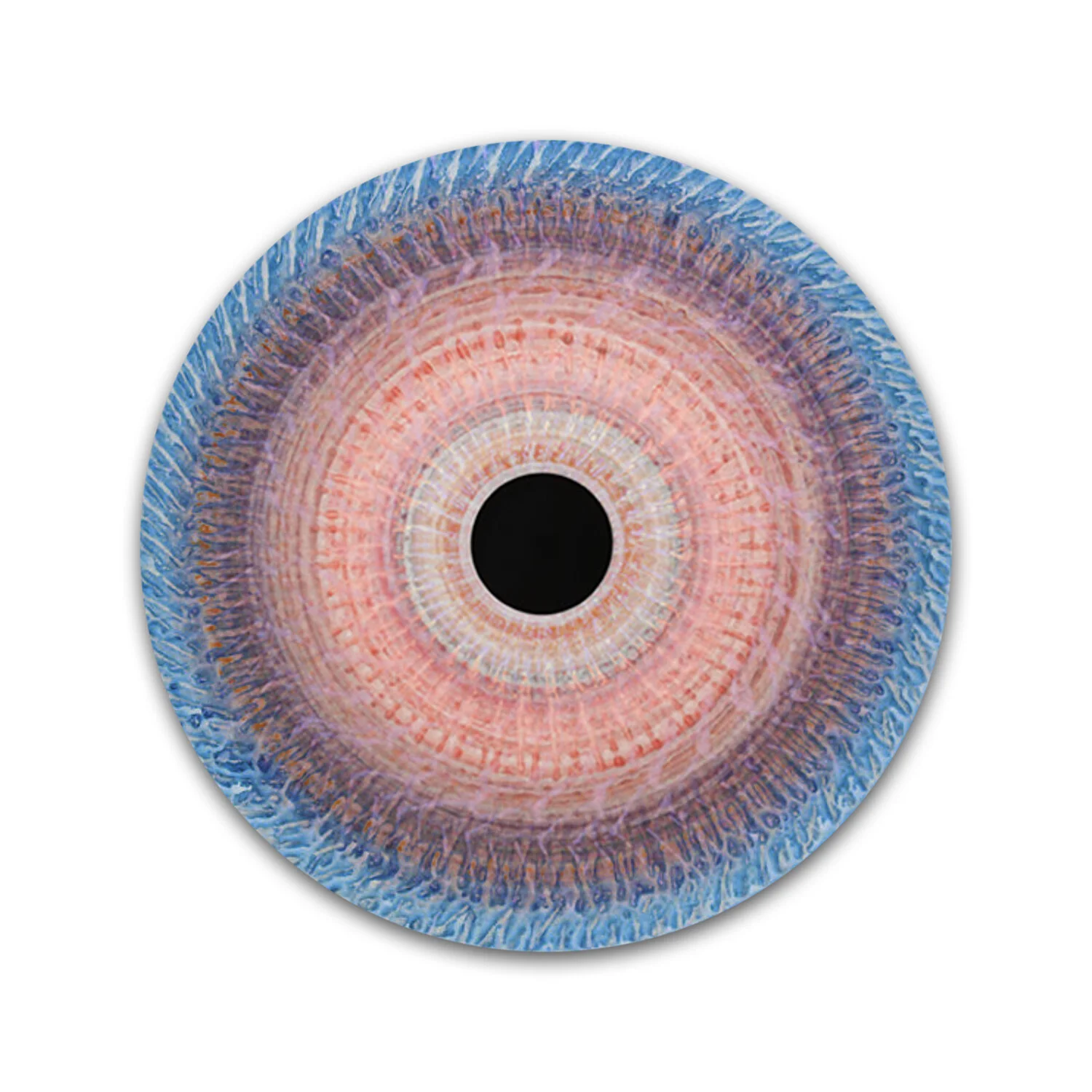 Vorticity 51 | # 1/20
