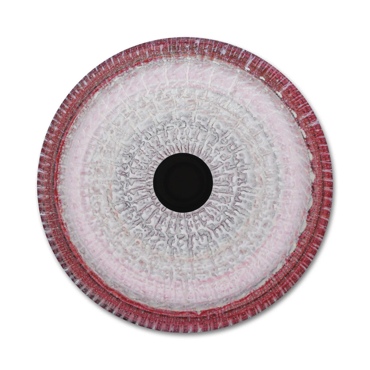 Vorticity Bloom 50  |  38" Disc