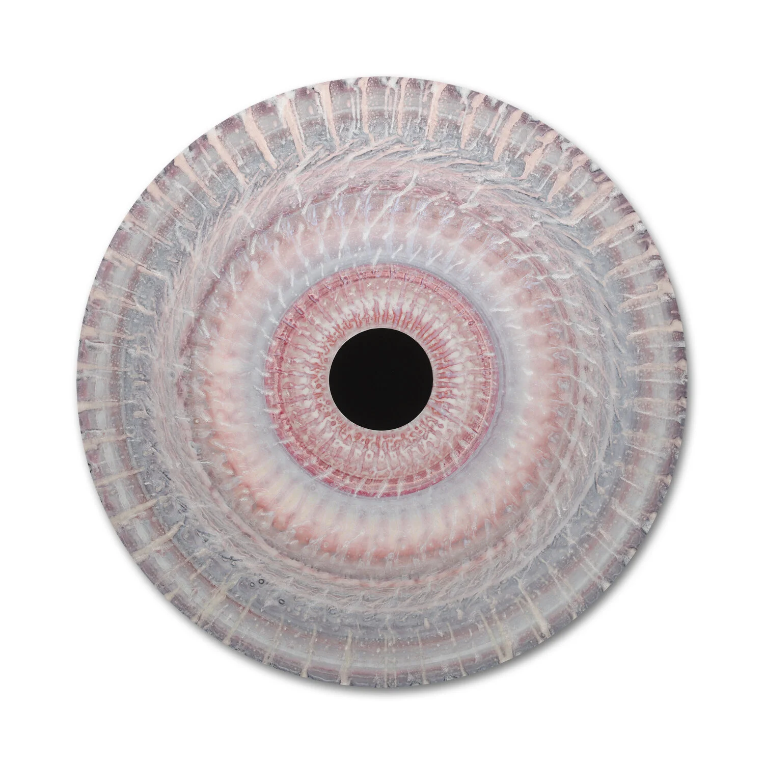Vorticity Bloom 52  |  32" Disc